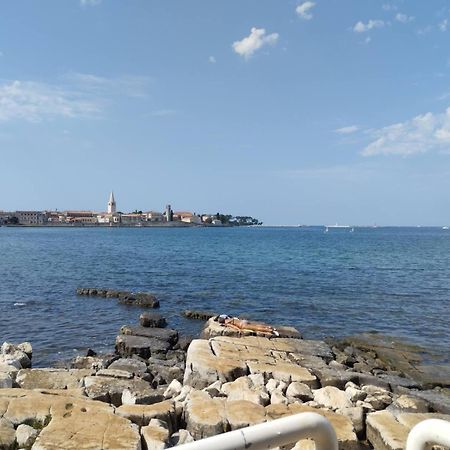Maestral Apartman Poreč Kültér fotó