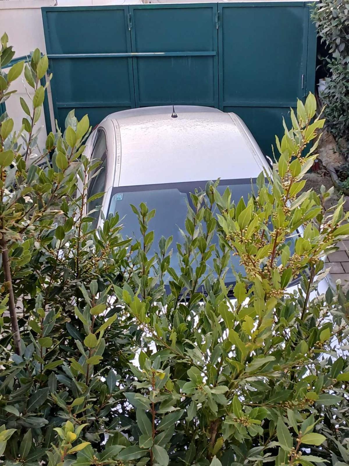 Maestral Apartman Poreč Kültér fotó