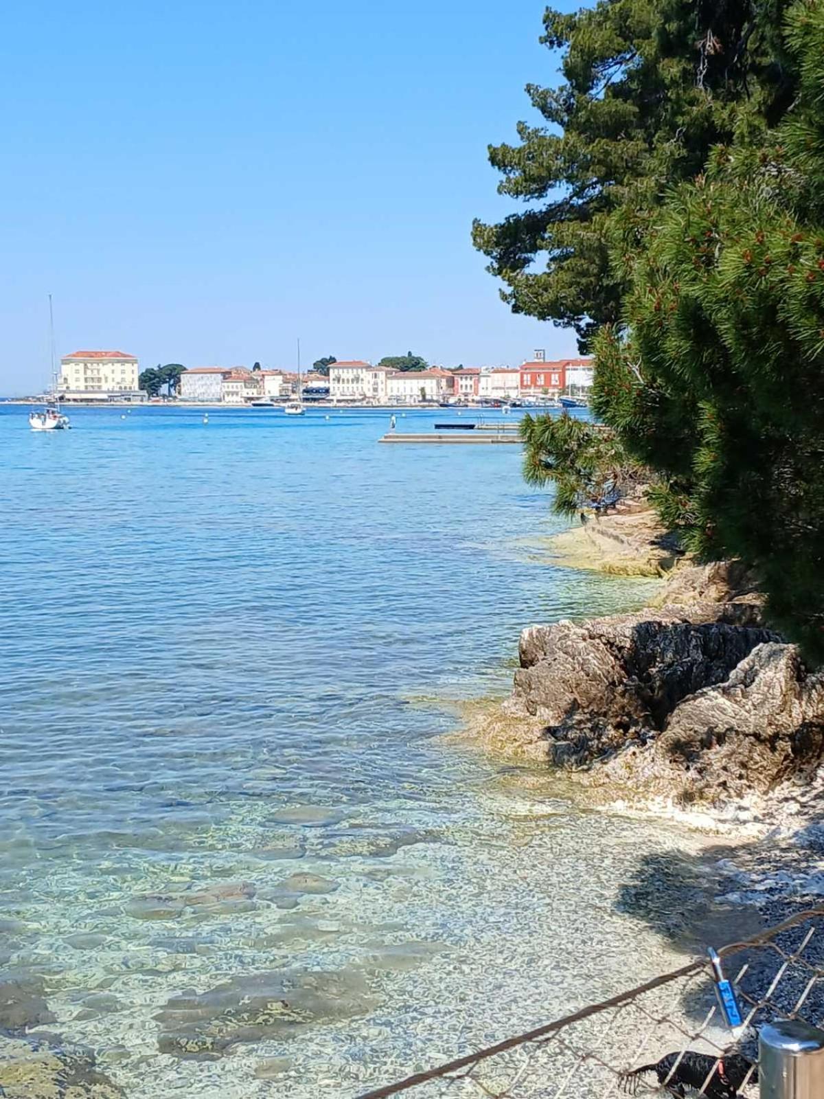 Maestral Apartman Poreč Kültér fotó
